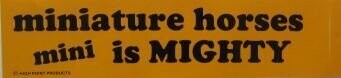 Miniature Horses Bumper Sticker #5254b