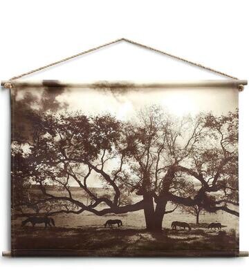 Under the Double Oaks Canvas Wall Art: #968AT