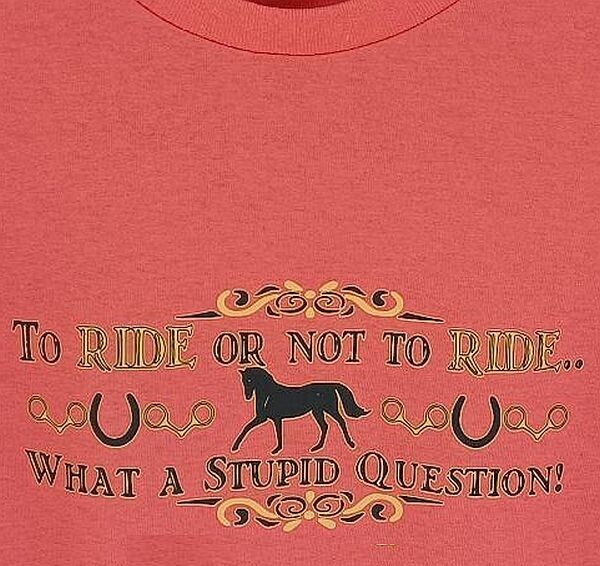 "To Ride or Not to Ride-What a Stupid Question"   
 Comic Collection #AT63