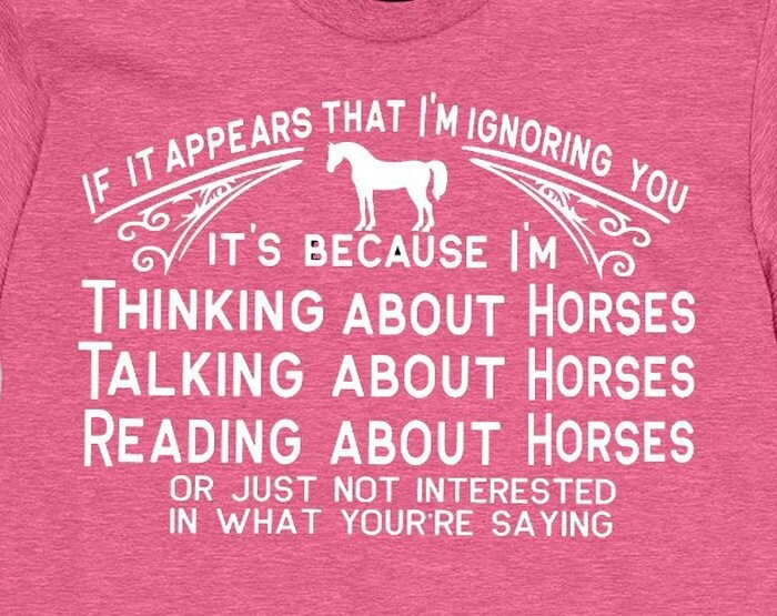 "If It Appears I'm Ignoring You"..t-shirt- sweatshirt or hoodie #A312