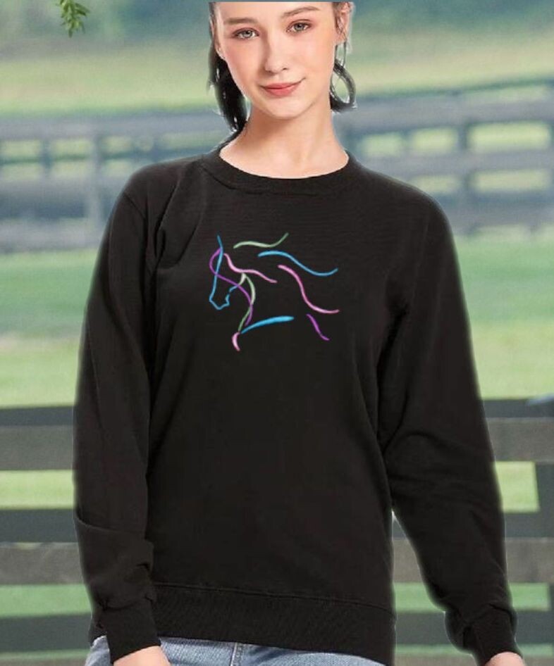 Dream Horse Multi-Colored Embroidered Unisex Tee  & Sweatshirt #A98SS