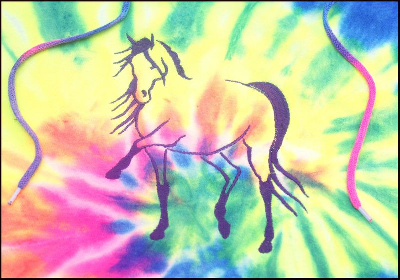 Destina Horse Embroidered Neon Tie dyed Hoodie # A93DE