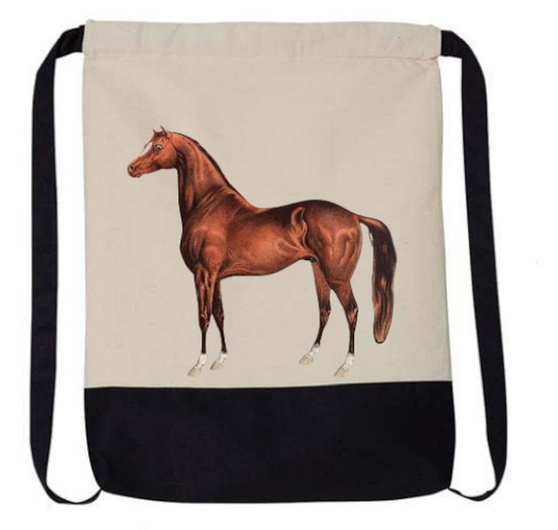 Vintage Chestnut Horse Art 17 Vintage Chestnut Horse Art 17" Canvas Drawstring Back sack #AT92LA