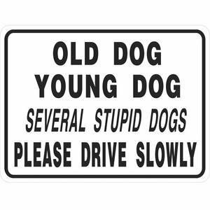 Old Dog - Young Dog-several stupid dogs Aluminum Sign 9 Old Dog - Young Dog-several stupid dogs Aluminum Sign 9" & 12" signs #9140