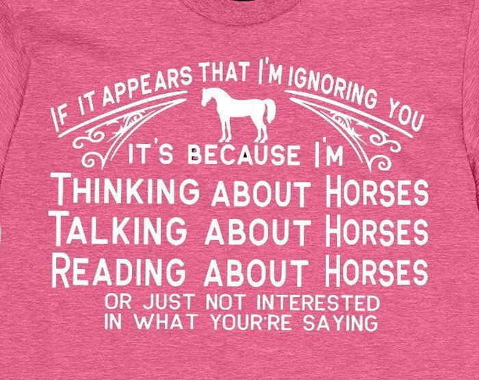 "If It Appears I'm Ignoring You"..t-shirt- sweatshirt or hoodie #A312