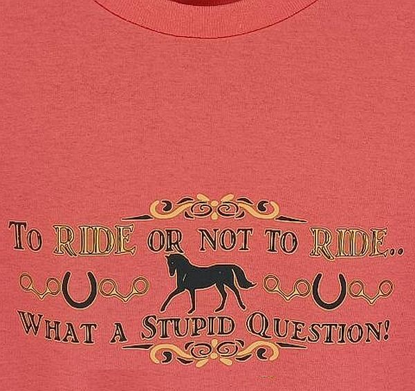 "To Ride or Not to Ride-What a Stupid Question"
Comic Collection #AT63