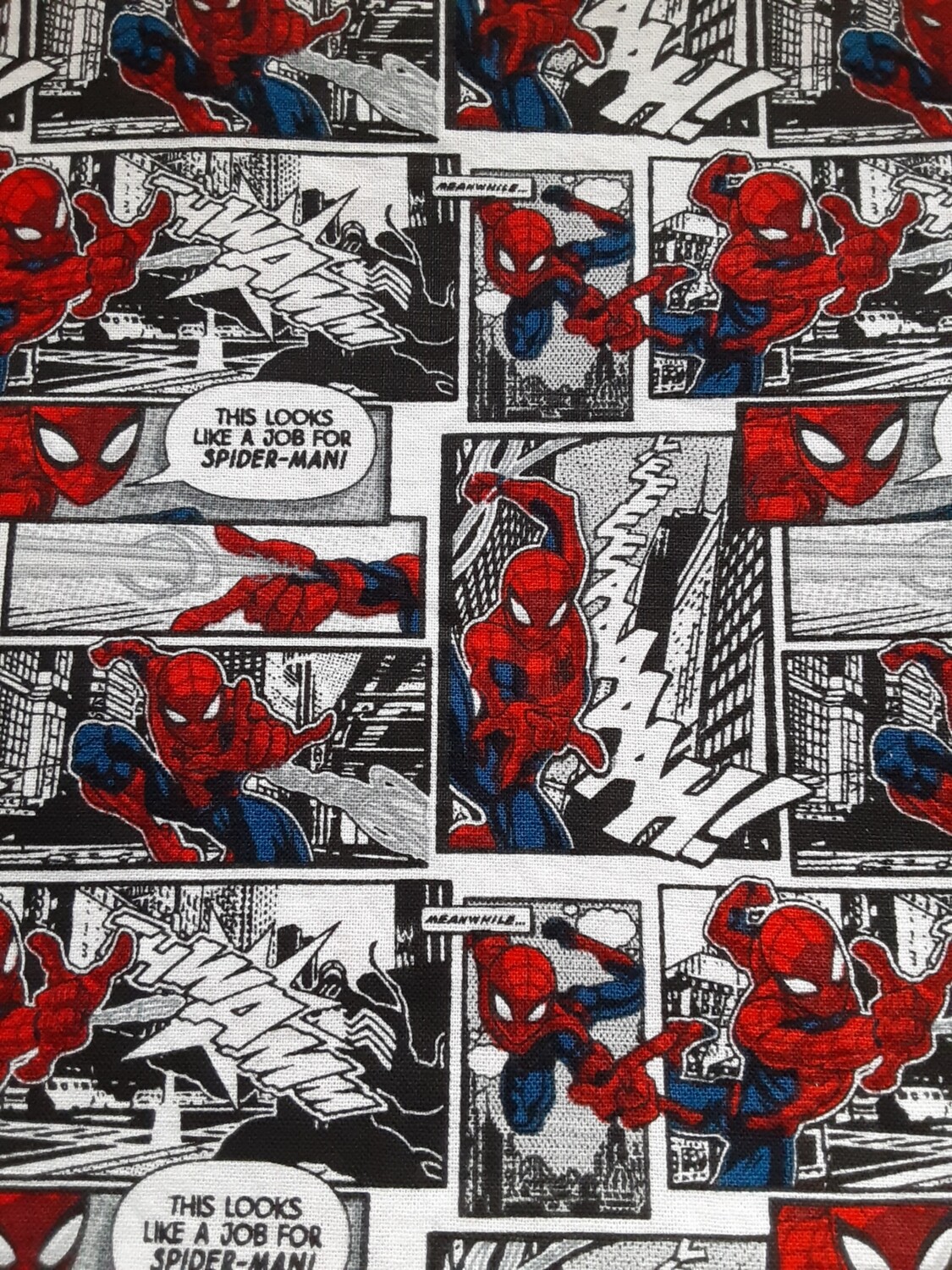 Spiderman comic strip