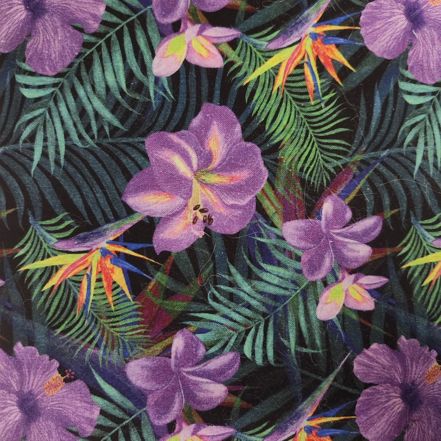 Tropical hibiscus lilac