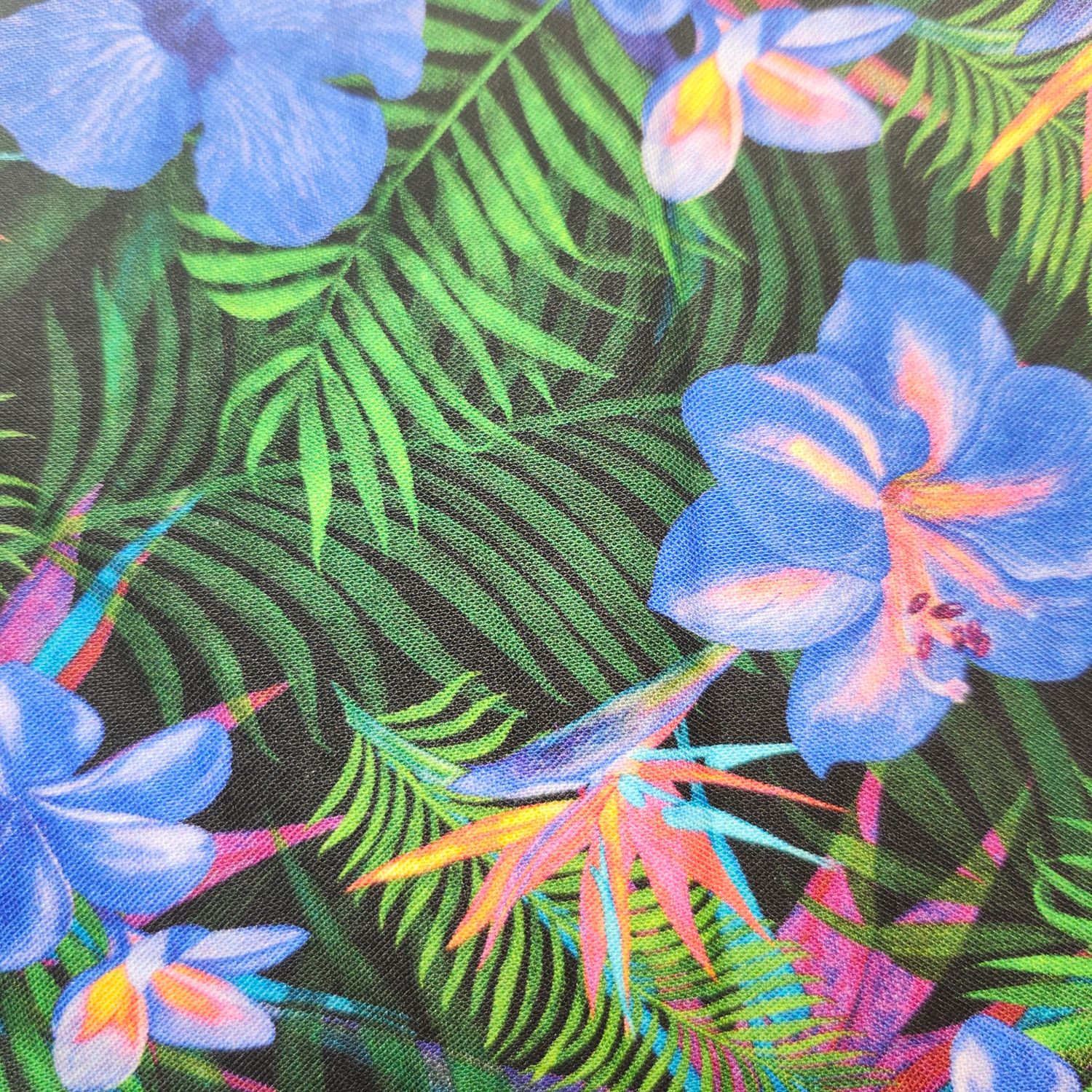 Tropical hibiscus in blue