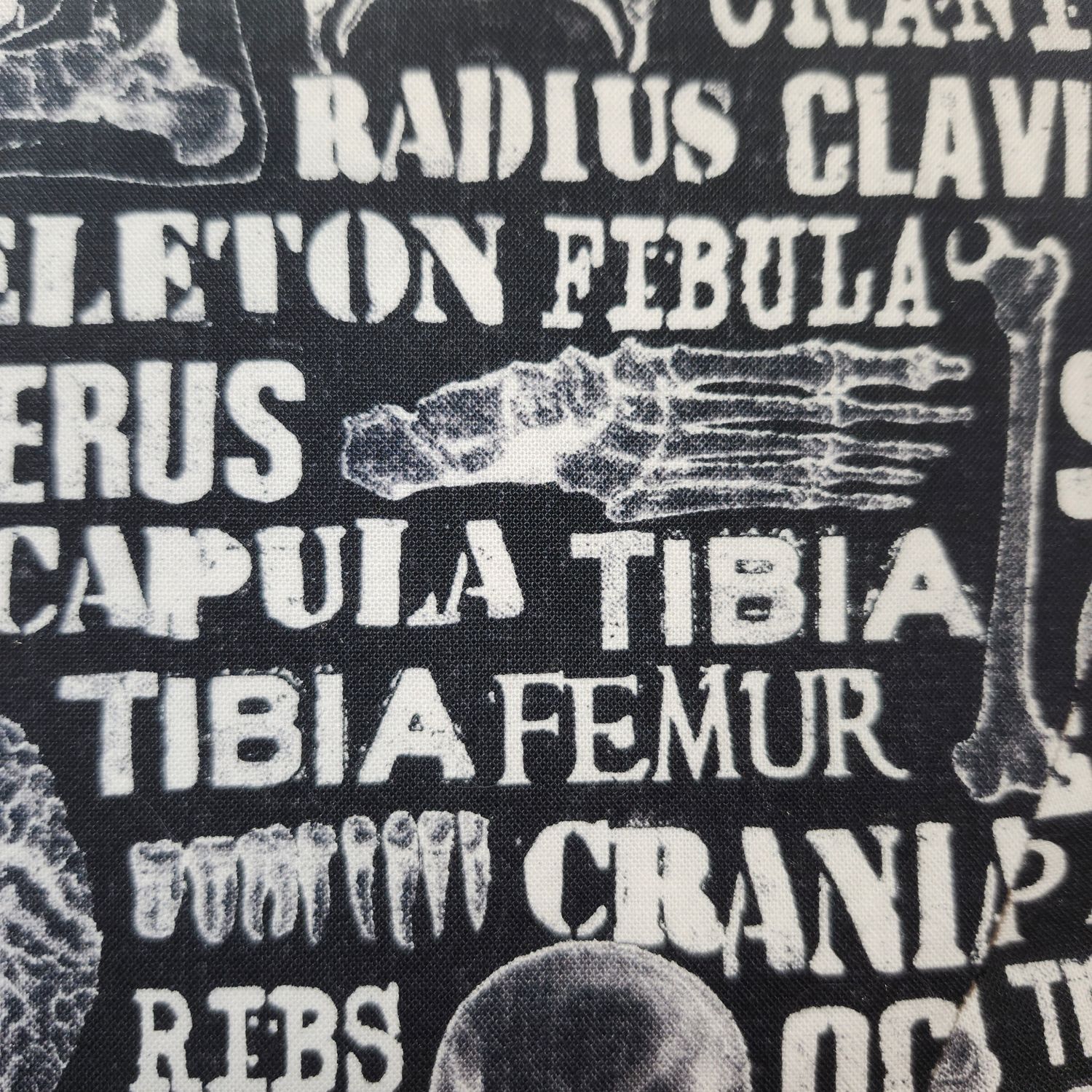 Skeleton science