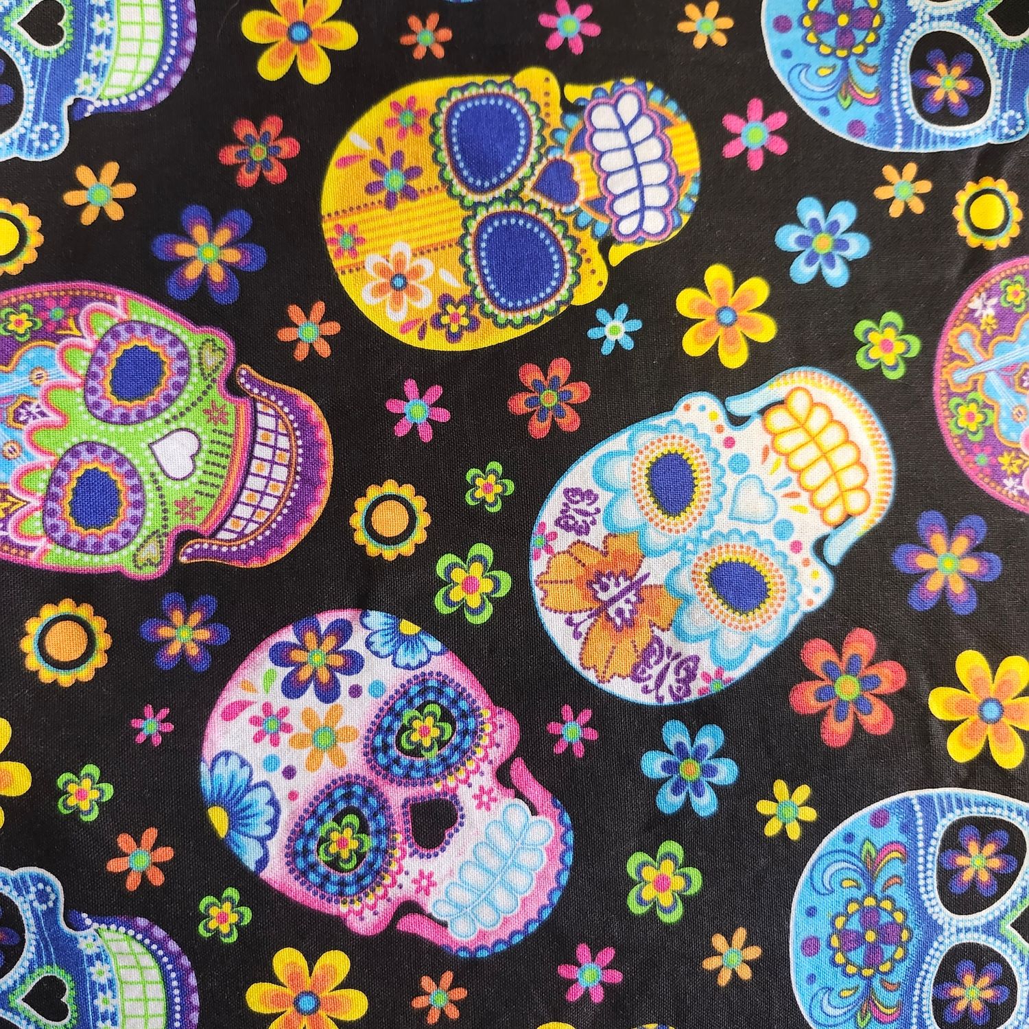Large sugar skulls on black