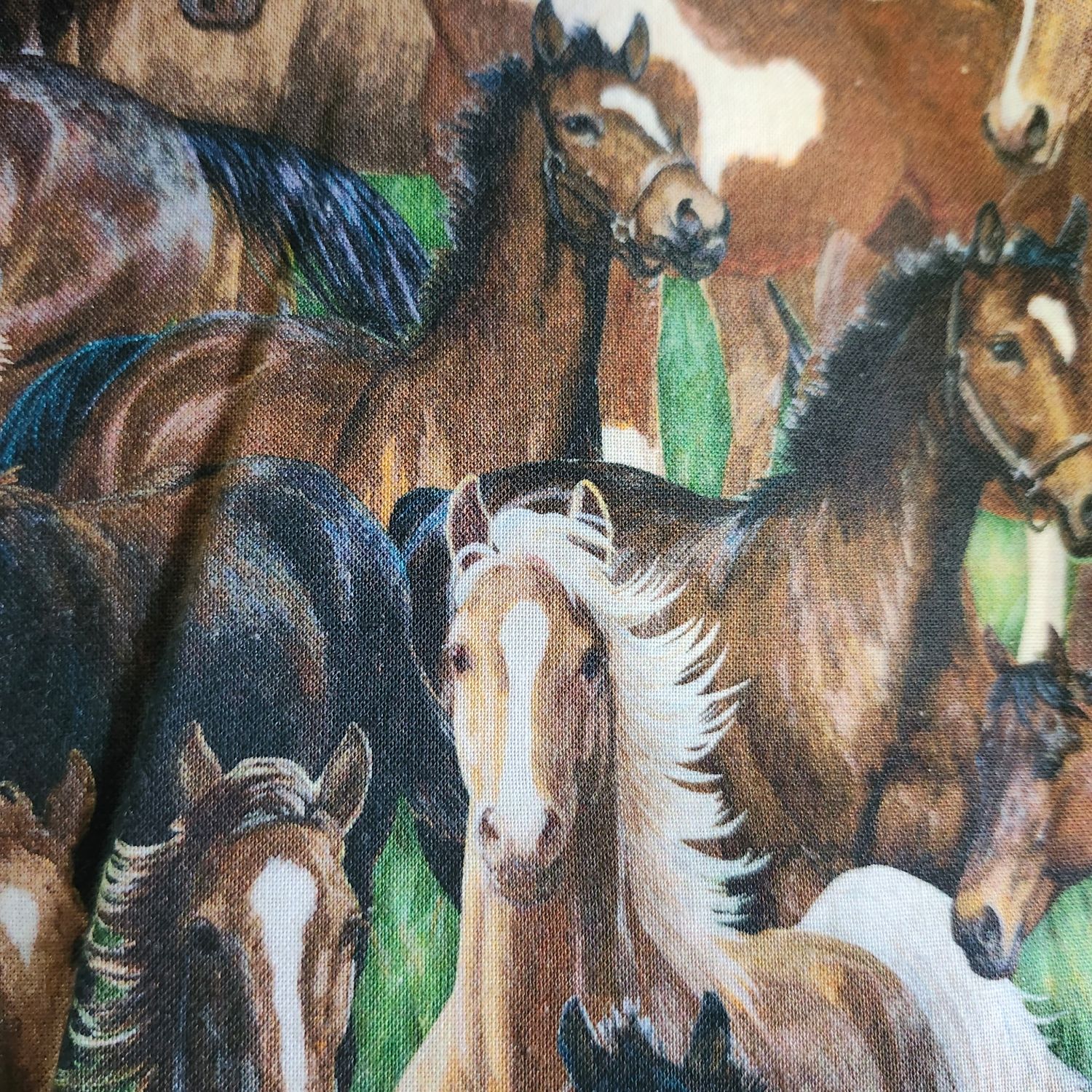Horses! 