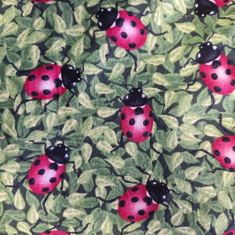 Ladybugs! 