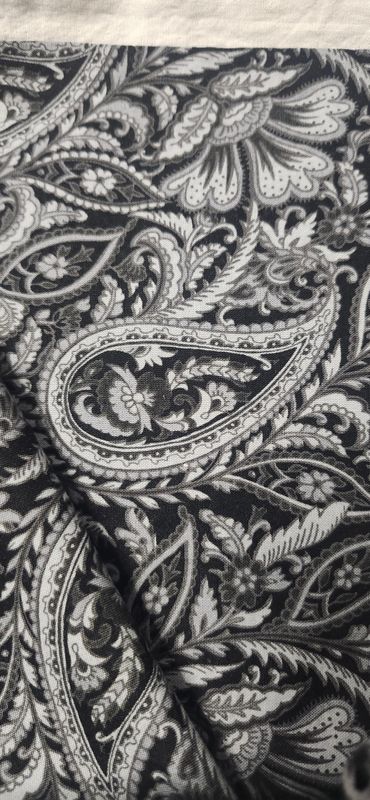 Black and white paisley