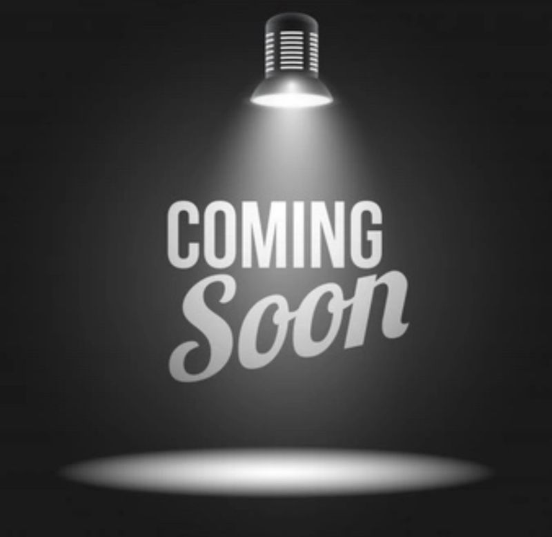 1993-2001 Stainless Peterbilt Arm Rest