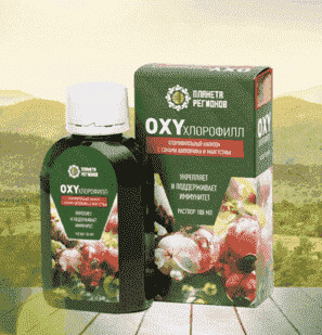 «OXYхлорофилл» хлорофилльный напиток с соками шиповника и мангустина. Укрепление и поддержка иммунитета. (раствор 100 млл)