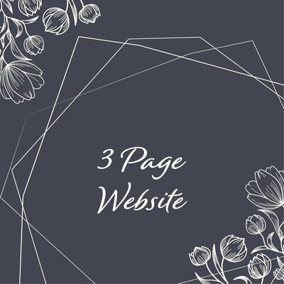 3 Page Website (Basic)