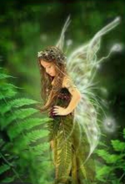 Fairy Items