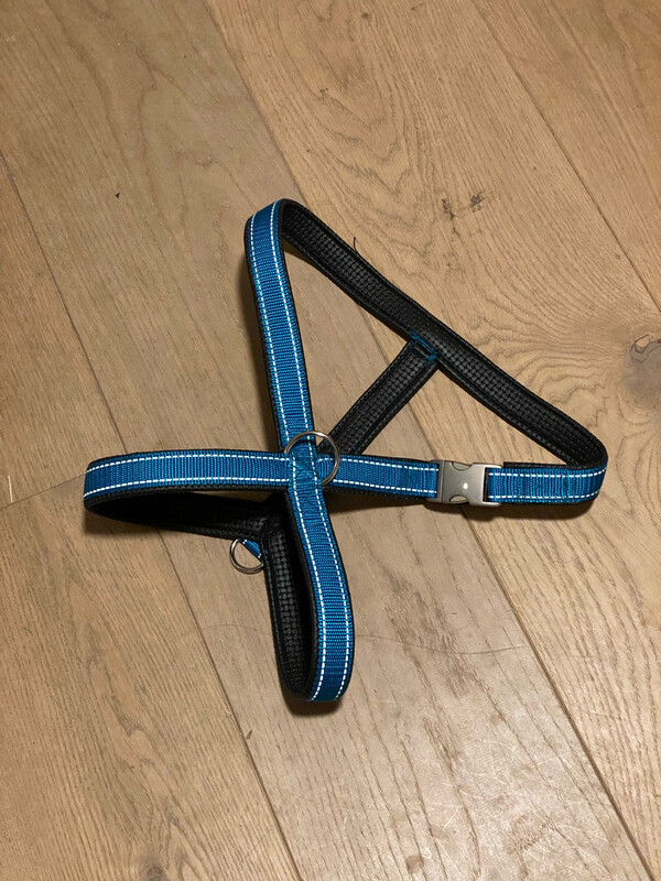 Maatwerk X-back short-tuig