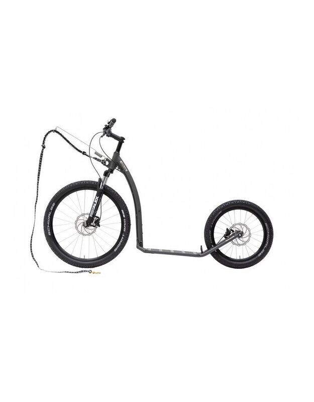 Kostka Mushing Max G6