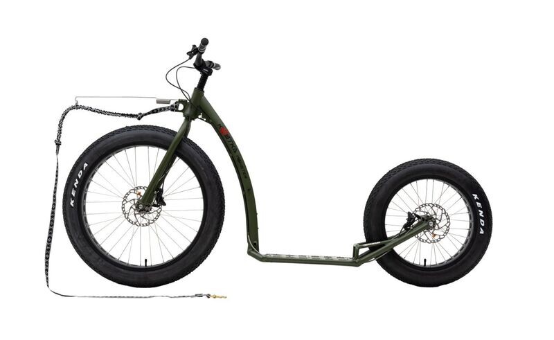 Kostka Monster Max Dog G6