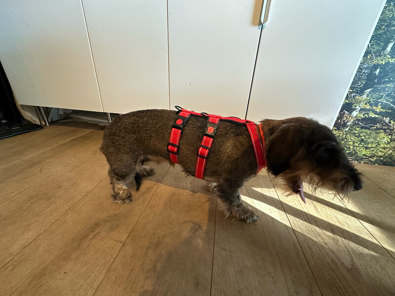 Maatwerk Anti-ontsnappings Tuig
