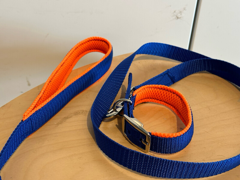 Puppyset: webbing halsband met Lijn