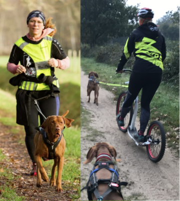 Sport-uitrusting