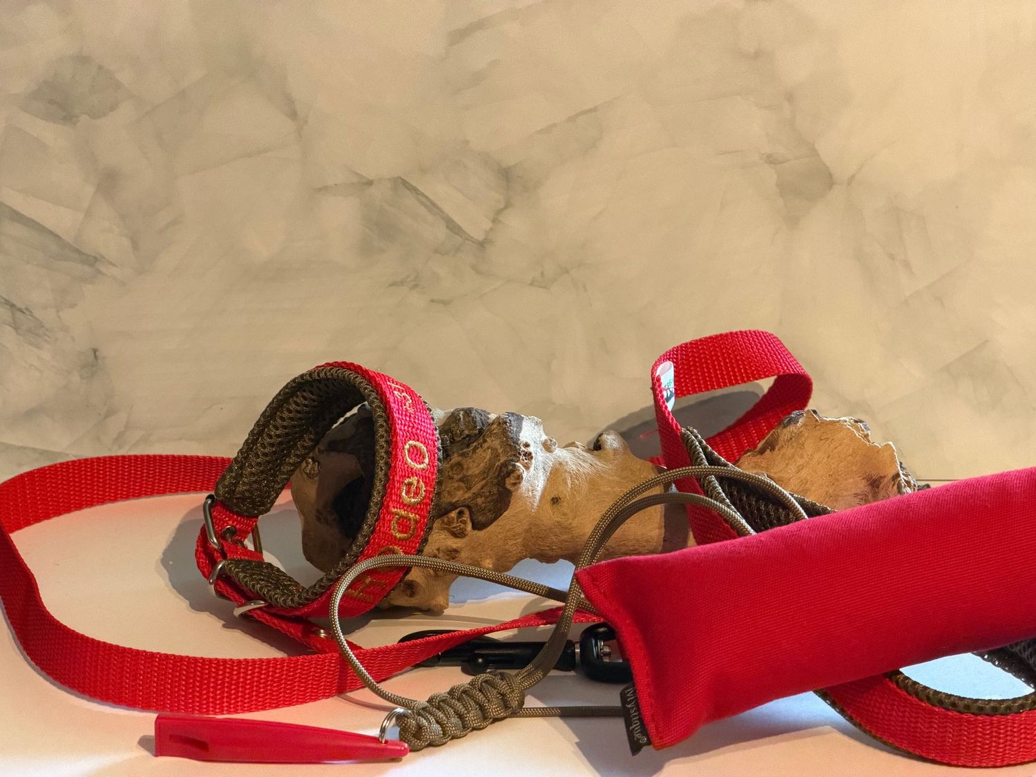 Puppyset: webbing halsband met Lijn