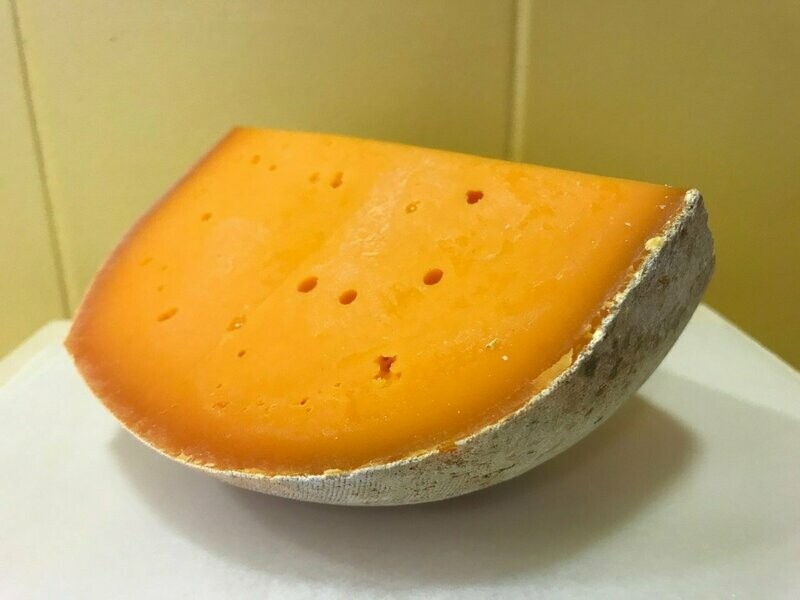 Mimolette jeune - 2 mois