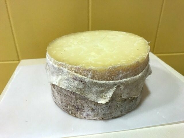 Cheddar