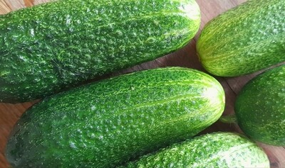 Avomaankurkku 0,5 kg