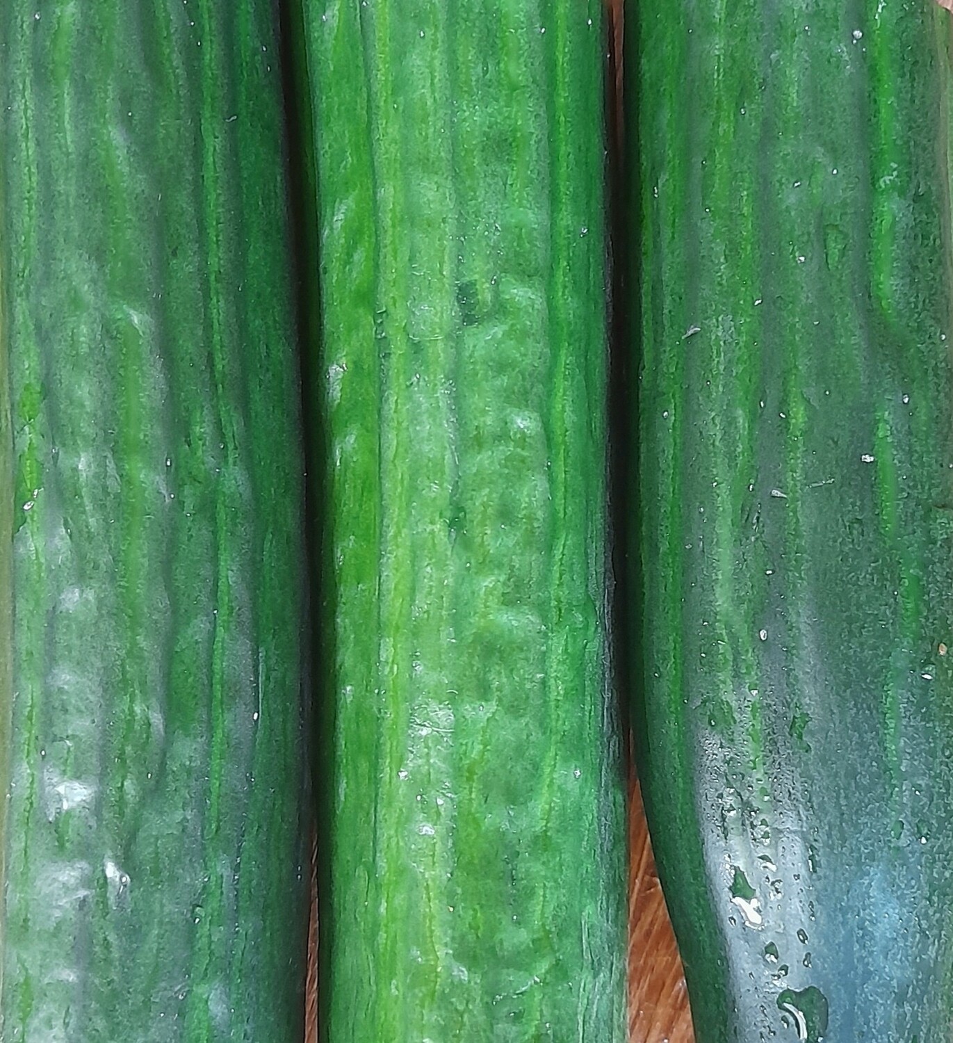 Kurkku