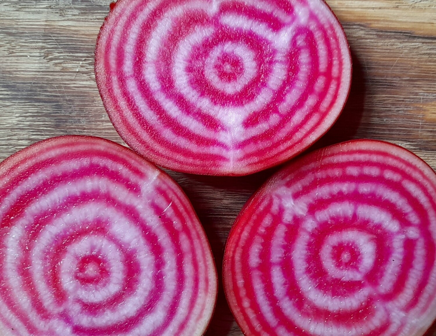 Raitajuurinippu