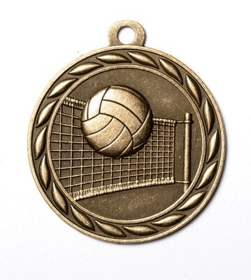 Scholastic Medal - Sport Series
VOLLEYBALL MEDAL