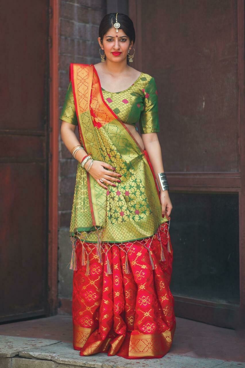 Meenakari Patola Saree
