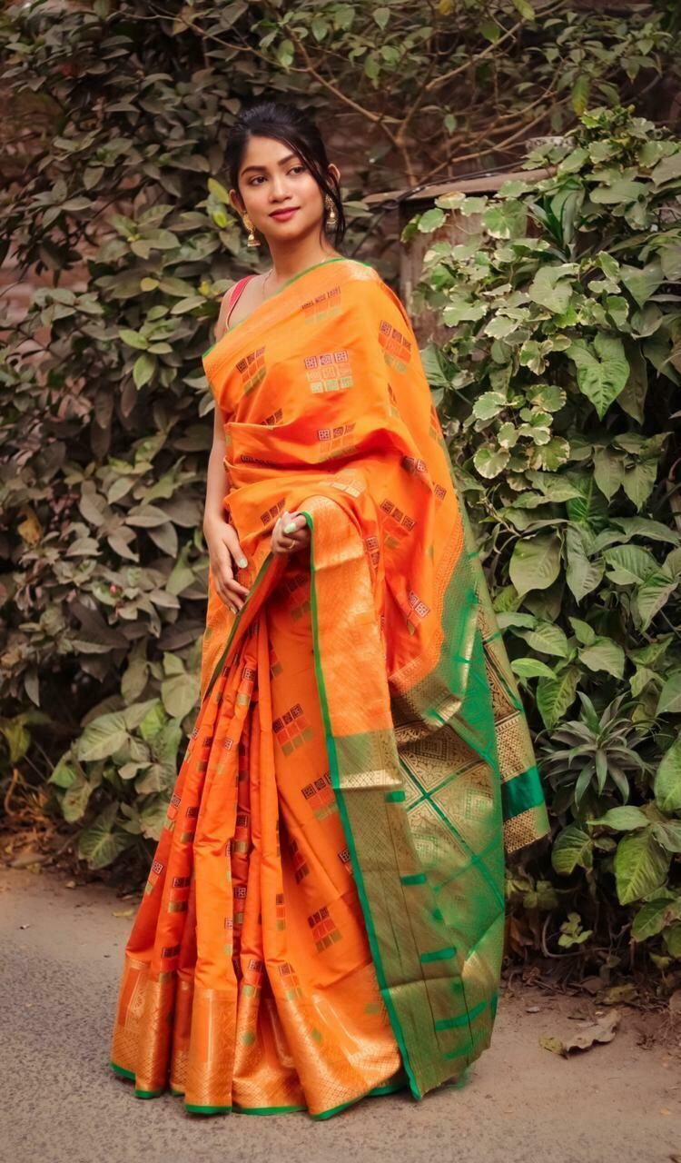 Ludo Lichi Banarasi Silk