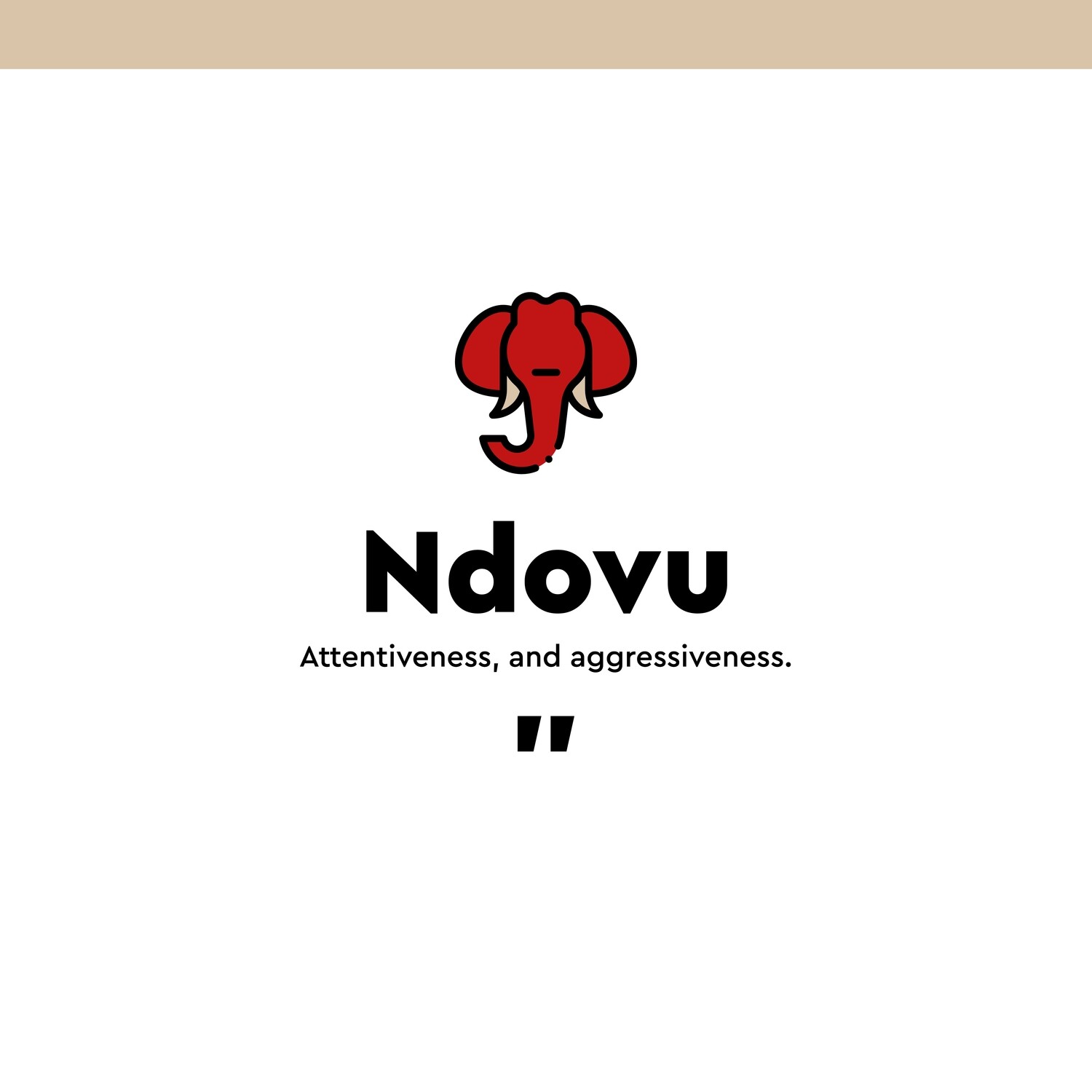 NDOVU