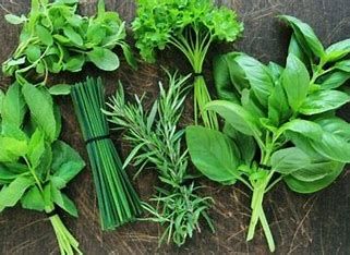 Nos herbes aromatiques et épices