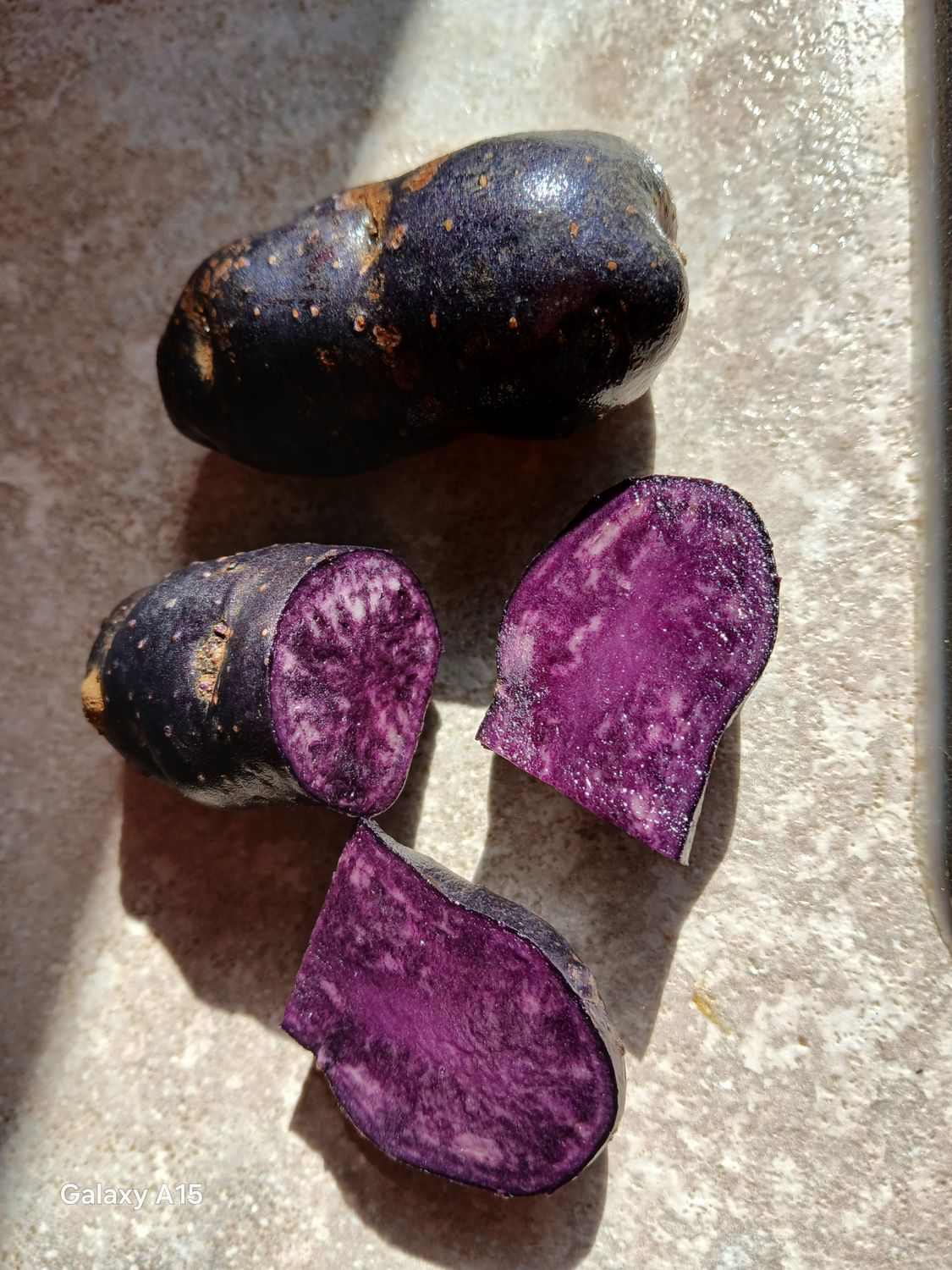 Pomme de terre Vitelotte