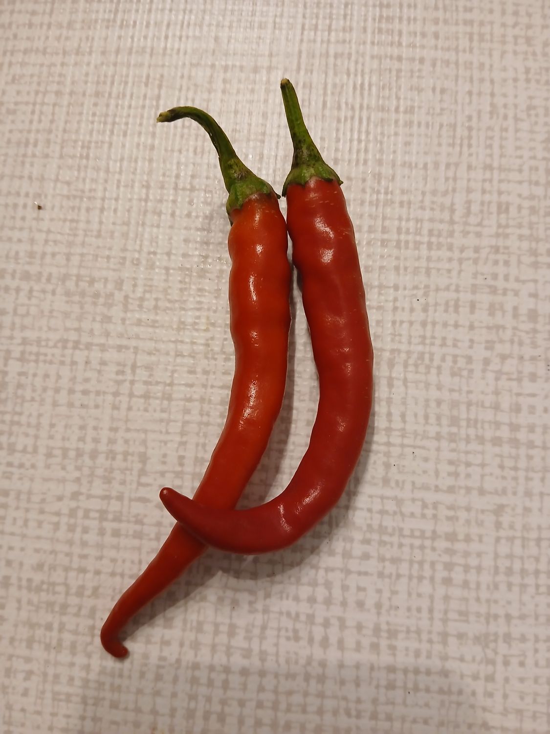 Piment de Cayenne frais