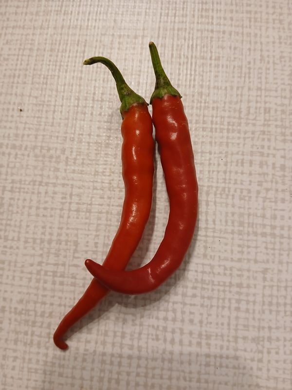 Piment de Cayenne frais