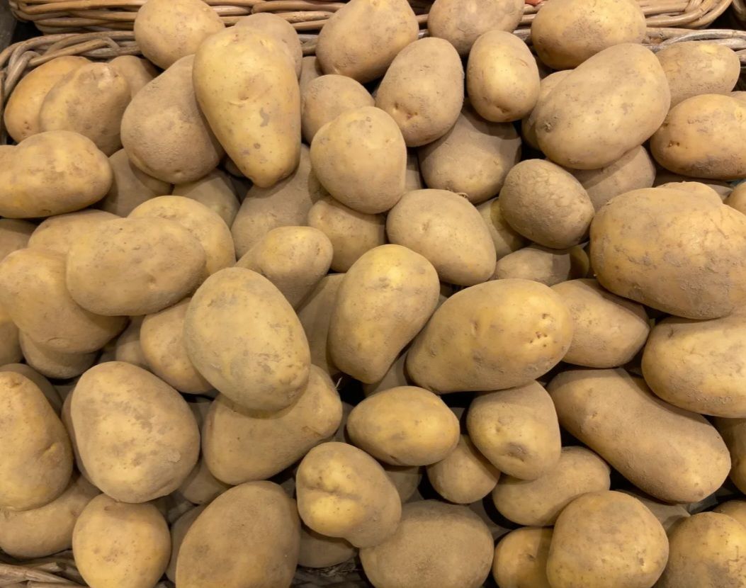 Pomme de terre Bintje (farineuse)