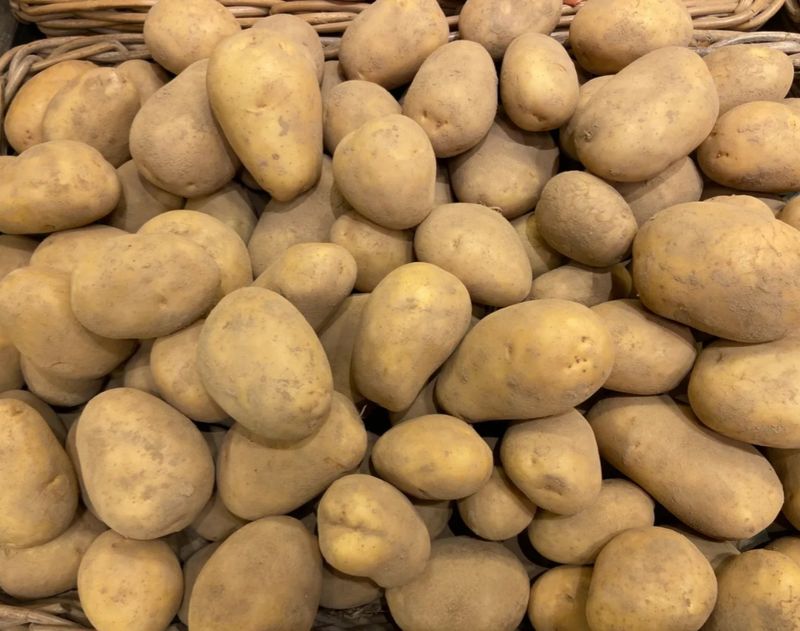 Pomme de terre Bintje (farineuse)