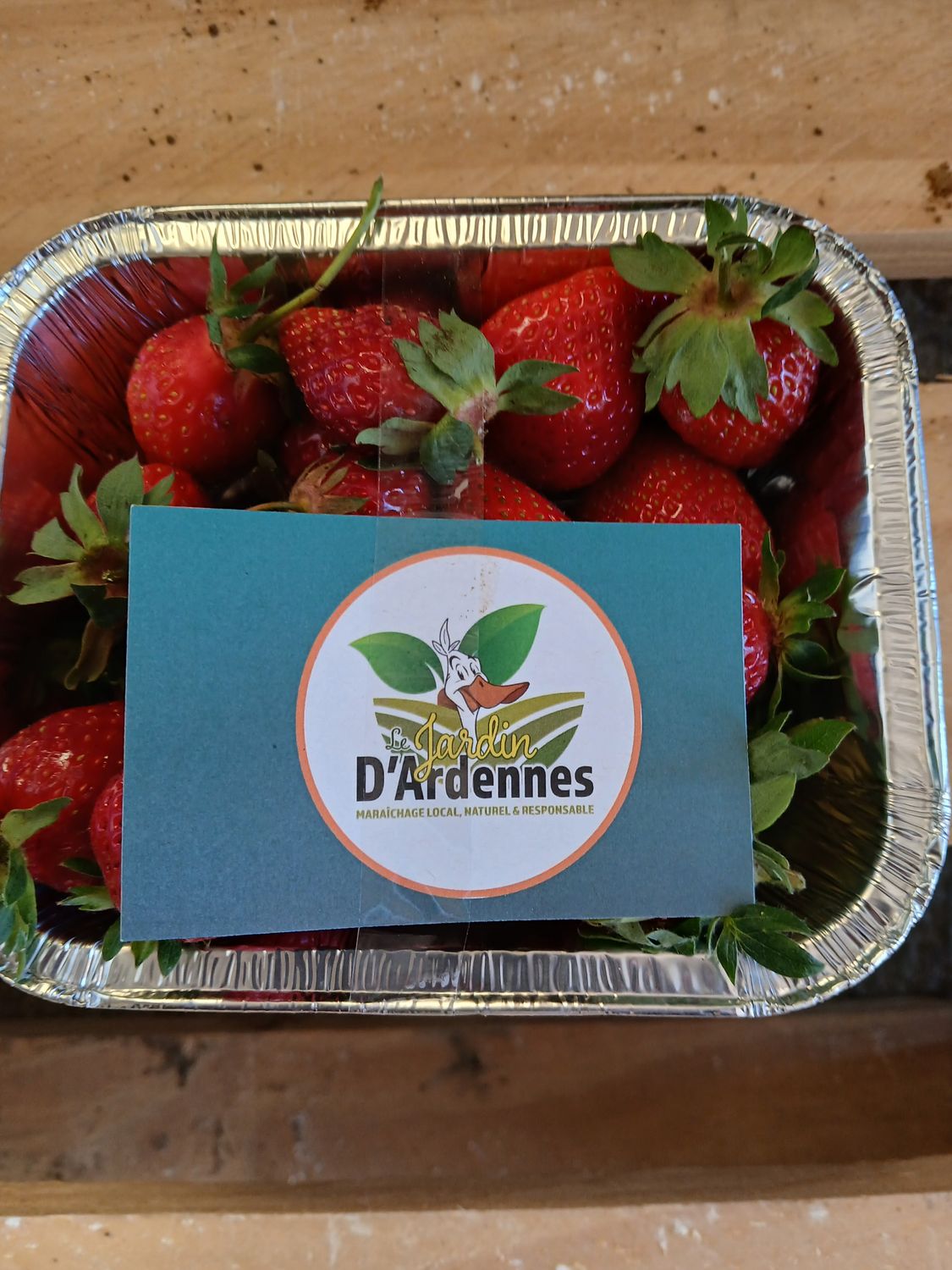 Fraises Ciflorette