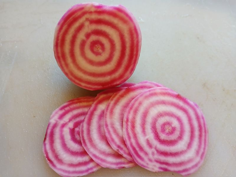 Betterave Chioggia
