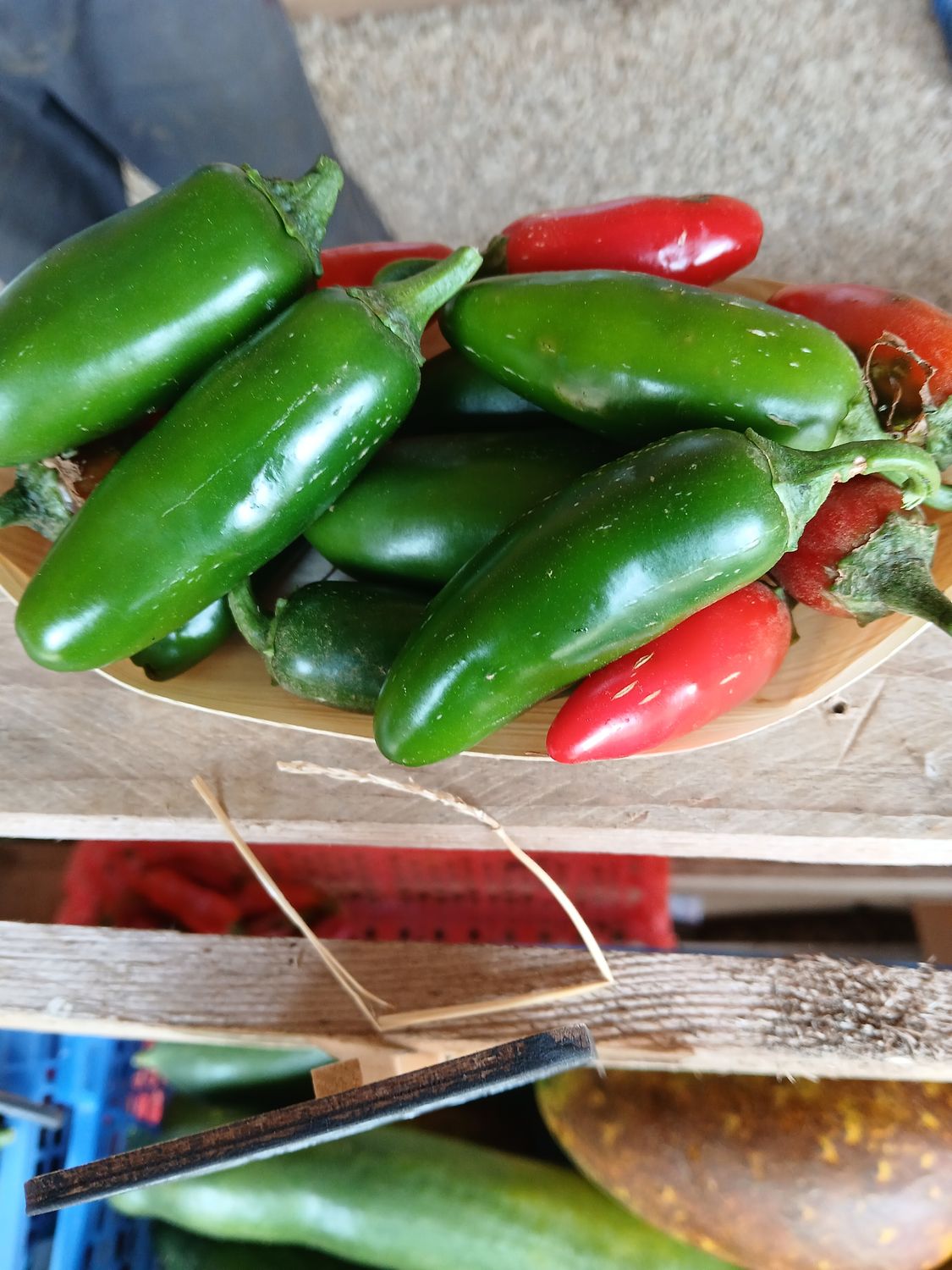 Piment jalapeno frais