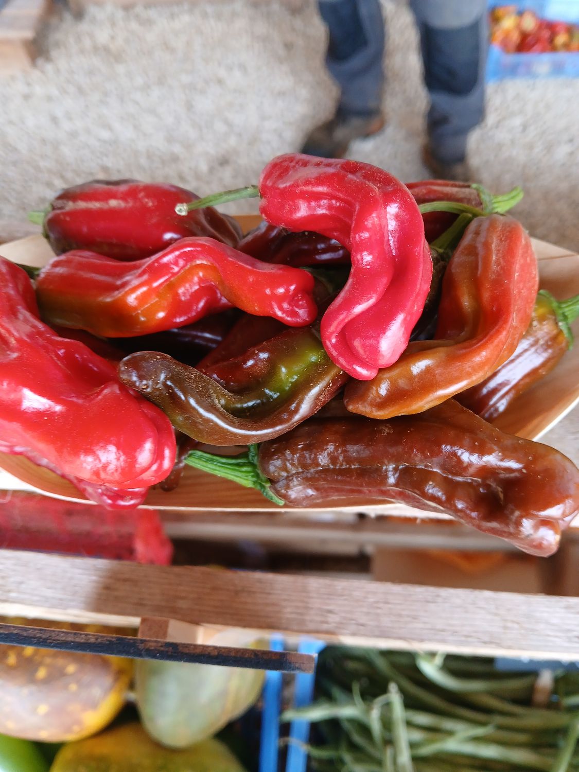 Piment Peperoncini frais
