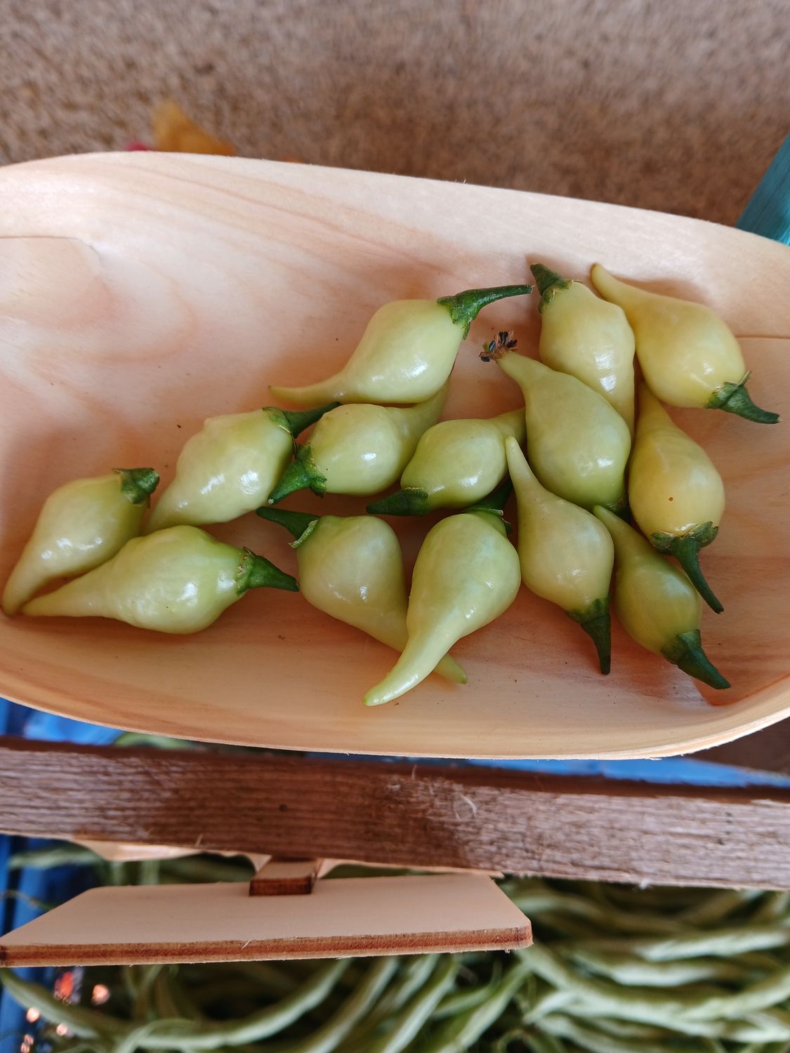 Piment petits becs frais