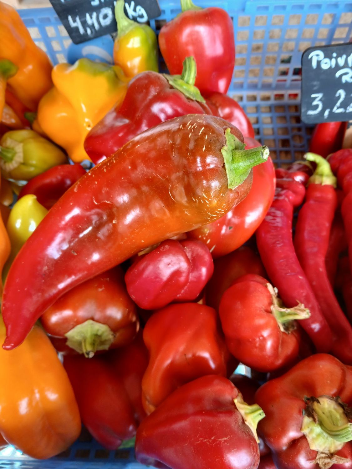 Poivron rouge